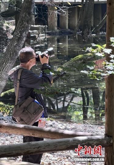 ��Ӱʦ�ڱ�Ϫ����ɽ�����ķ�����ȡ�����㡣������ ��