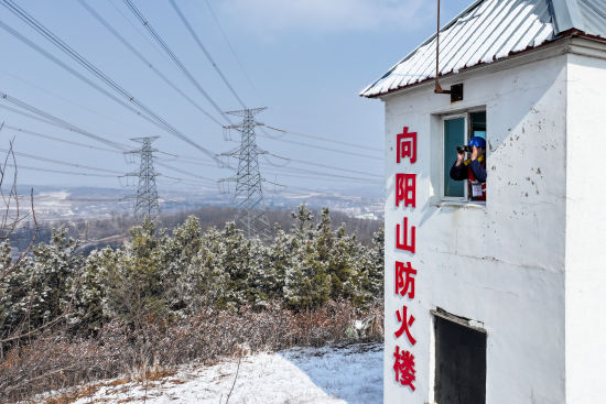 �������������繫˾Ա���ڷ�ɽ��ֵ�ص�۲���·ͨ�������������