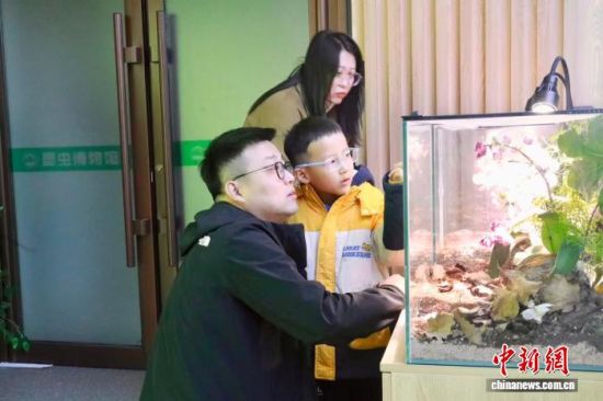 3月22日,沈阳农业大学昆虫博物馆恢复免费开放。白颐朋 摄 3月22日,沈阳农业大学昆虫博物馆恢复免费开放。白颐朋 摄