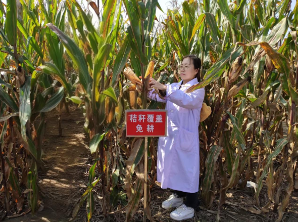 对话杰出科技青年奖获得者|辽宁省农业农村系统宋丹：专研黑土、守护耕地，将论文写在大地上