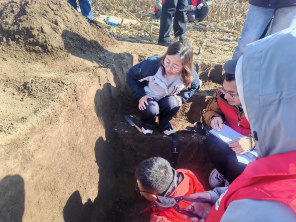 对话杰出科技青年奖获得者|辽宁省农业农村系统宋丹：专研黑土、守护耕地，将论文写在大地上