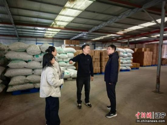 沈阳沈北新区：一个街道的招商“组合拳”与产业强街梦