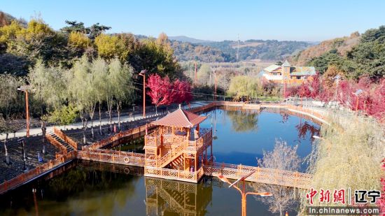 锐评｜从“实景资源”到“全域IP”：沈阳浑南区以微短剧赋能城市文旅新生长
