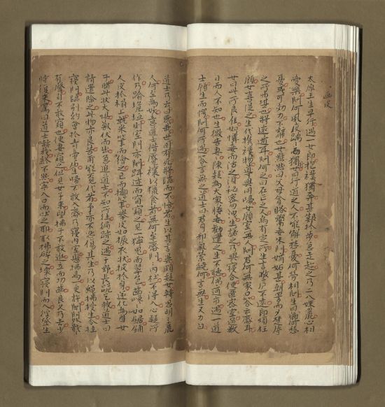 《聊斋志异》半部手稿(辽宁省图书馆(辽宁省古籍保护中心)藏) 《聊斋志异》半部手稿(辽宁省图书馆(辽宁省古籍保护中心)藏)