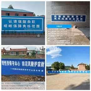 深耕乡村金融宣教阵地，中国大地保险辽宁分公司“我为村民刷墙”把金融知识送到田间地头