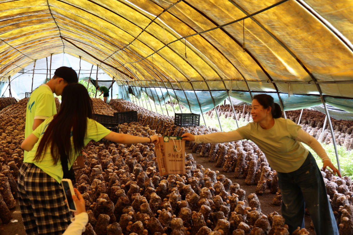 �⼮ʦ���߽���ţ����ʳ�þ�������ʵ�������㹽��ժ