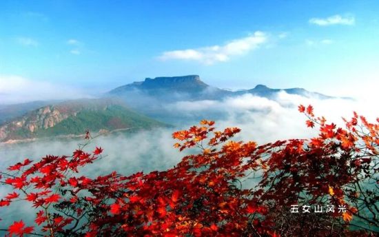 奔赴本溪！邂逅秋日限定中国红