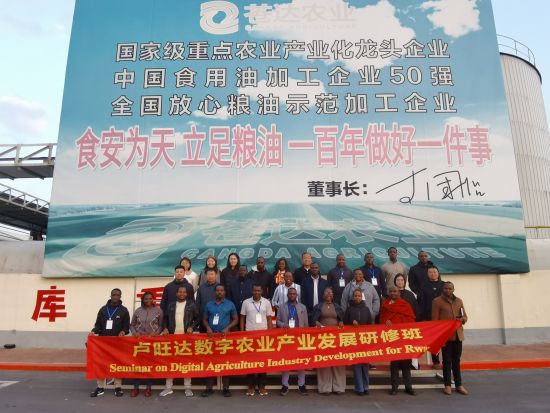 经济观察：访客纷至为哪般？沈北苍达，解锁现代农业的吸引力法则