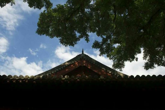 新华社中国图片社&千年奉国寺梦回大辽奉国