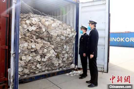 大连海关监管退运283.35吨固体废物