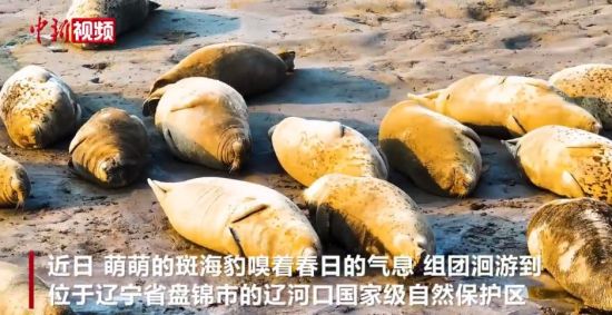 ɶ徫顱̲Ϳɹ̫