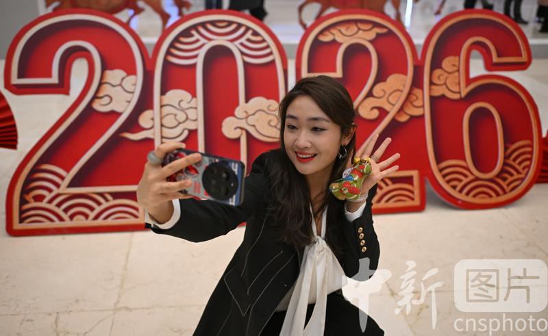 �������������ϻ���