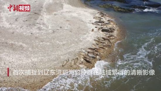 �й��״β�׽���ɶ���ߺ�����Ⱥ��½����Ӱ��