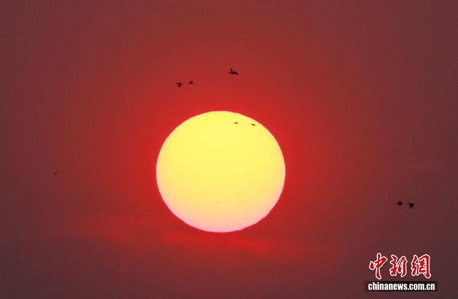 �������������������������Ⱥ�����