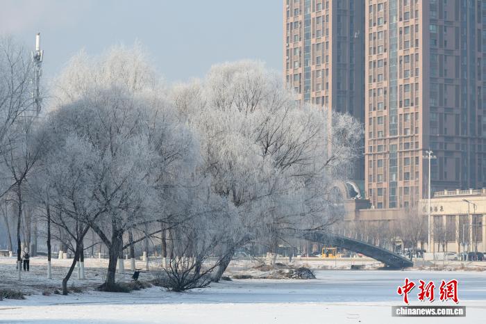 ��������ڡ����