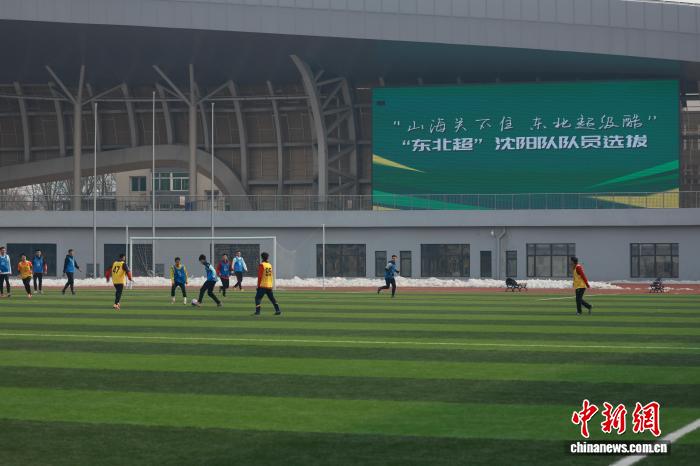 ���������������Ӷ�Աѡ�ξ���