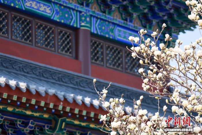 ����������ʢ�����������