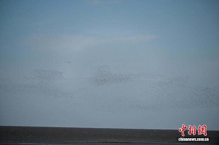 �����輯����Ѽ�̽���